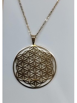 Set de cadena y  Colgante...