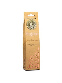 Organic Goodness Conos...